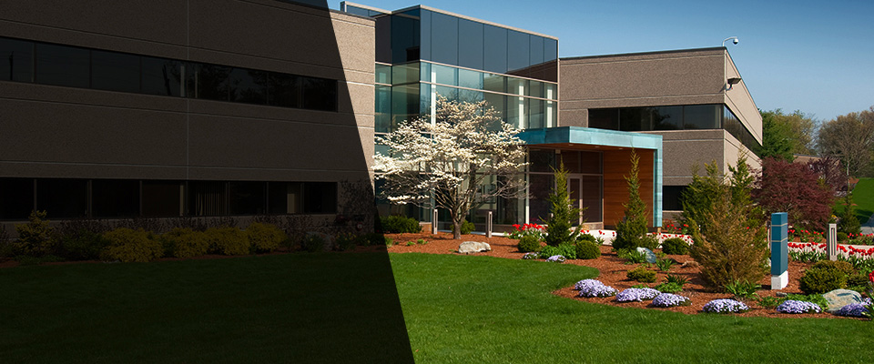 Lake Odessa Landscapers