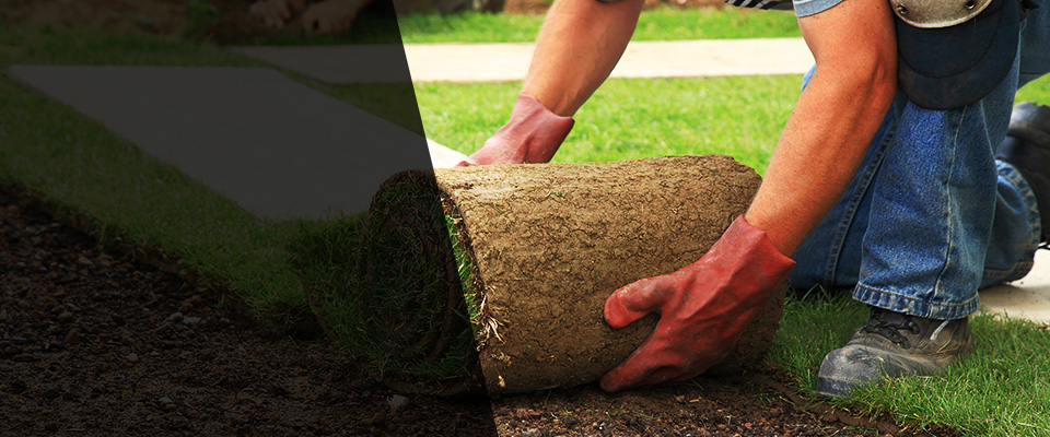 Lake Odessa Landscapers